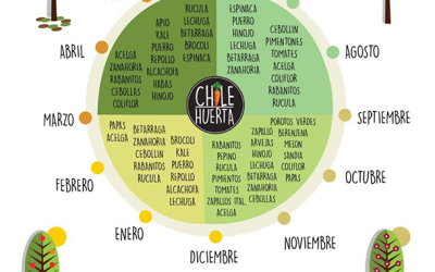 Calendario de cultivo: ¿Qué plantar y cuándo?