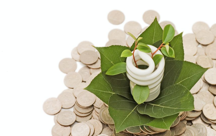 ¿Quieres llevar una vida más sustentable? Estos son seis útiles consejos para dar el paso definitivo