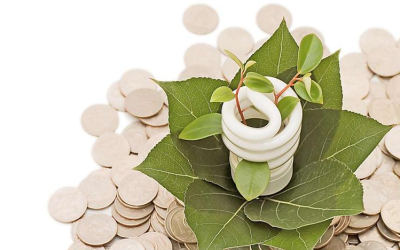 Eficiencia energética: Un elemento indispensable en los procesos productivos actuales