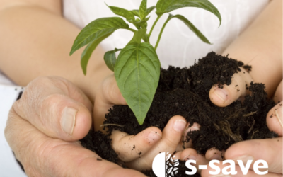 Recordemos algunos conceptos importantes sobre la Sustentabilidad